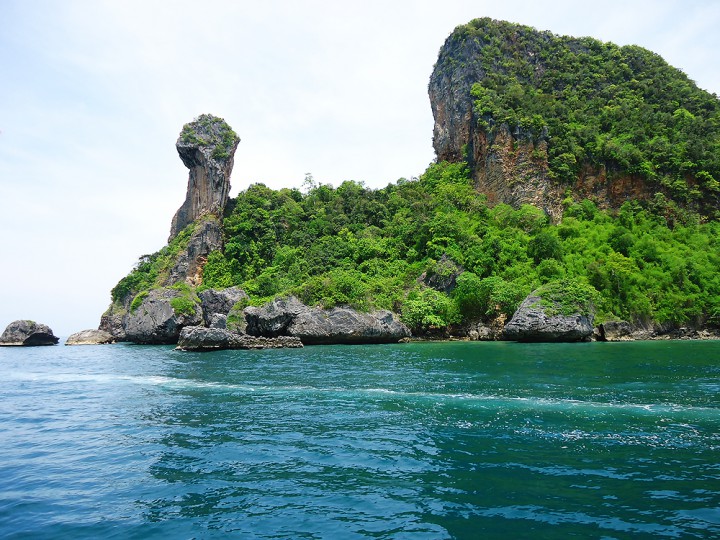 Chicken island