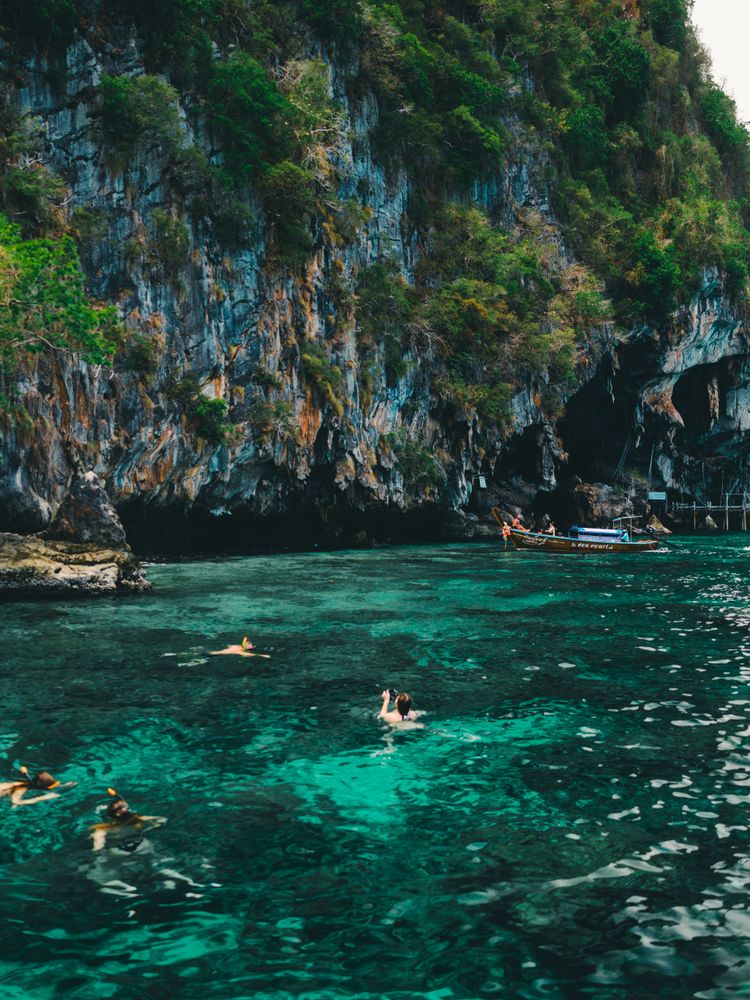 pexels-photo-31029708-1