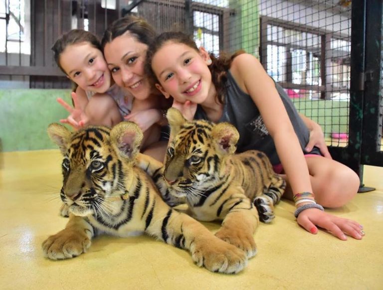 Phuket tiger park