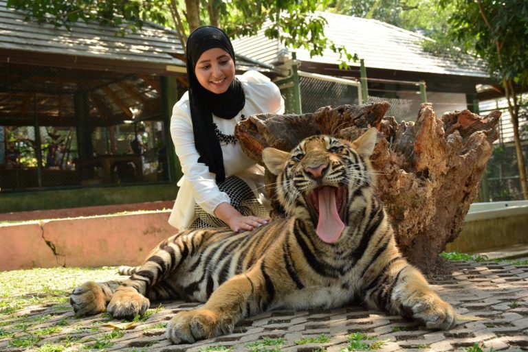 Phuket tiger park