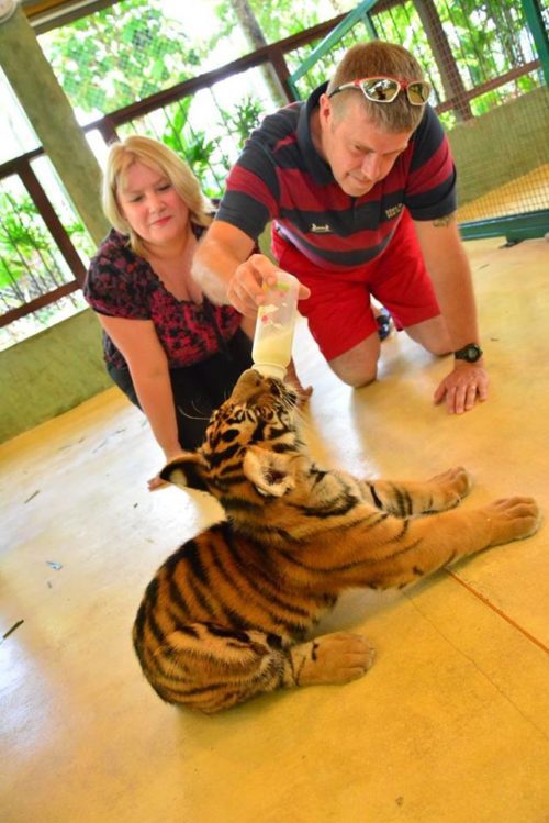 Phuket tiger park